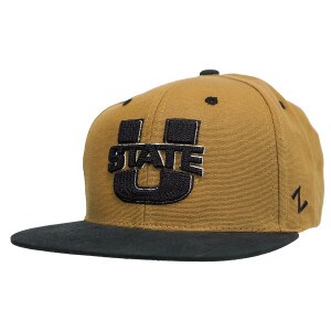 U-State, Brown, Navy, Flat Brim, Hat